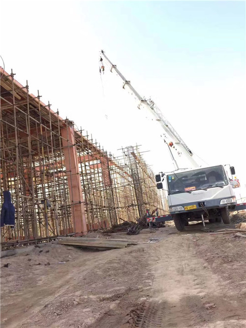 杜尔伯特25 吨、50 吨吊车怎么选？多大重量 / 半径适合对应车型？